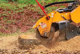 Reliable Winterville, NC Tree Removal Solutions