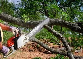 Lawn Drainage Solutions in Winterville, NC